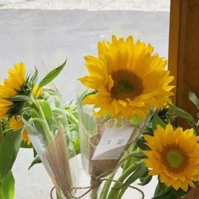 天博体育官网下载入口